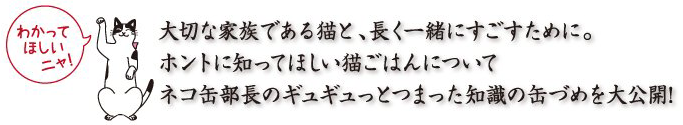 大切な家族である猫と長く一緒に過ごすために、ホントに知ってほしい猫ごはんについて。ネコ缶部長のギュギュっと詰まった知識の缶詰を大公開！