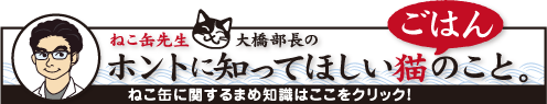 ホントに知ってほしい猫ごはんのこと